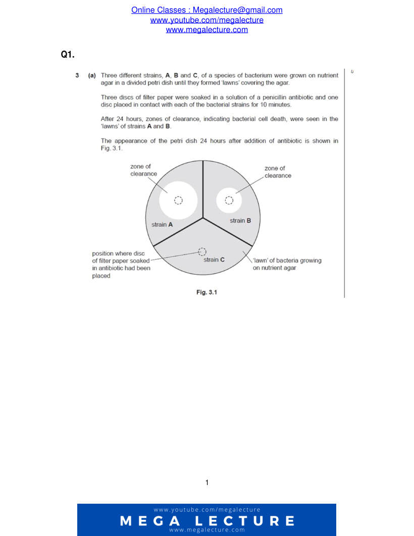 Page 1 of Questions