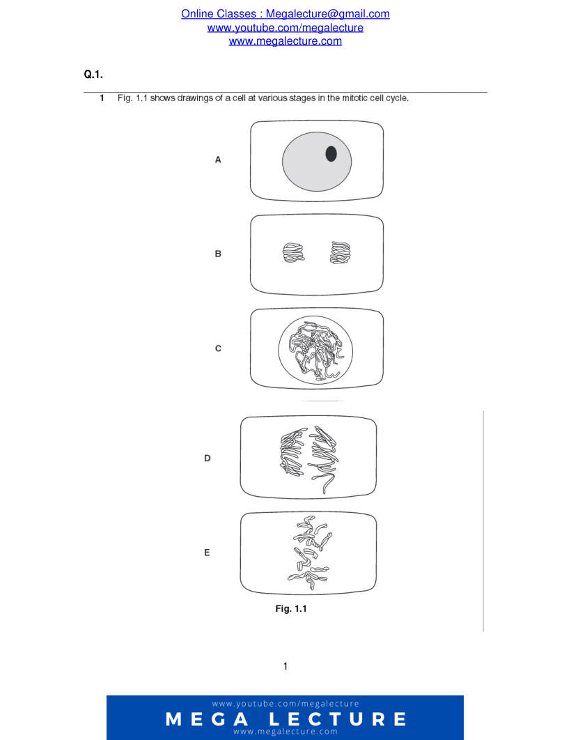 Page 1 of Questions