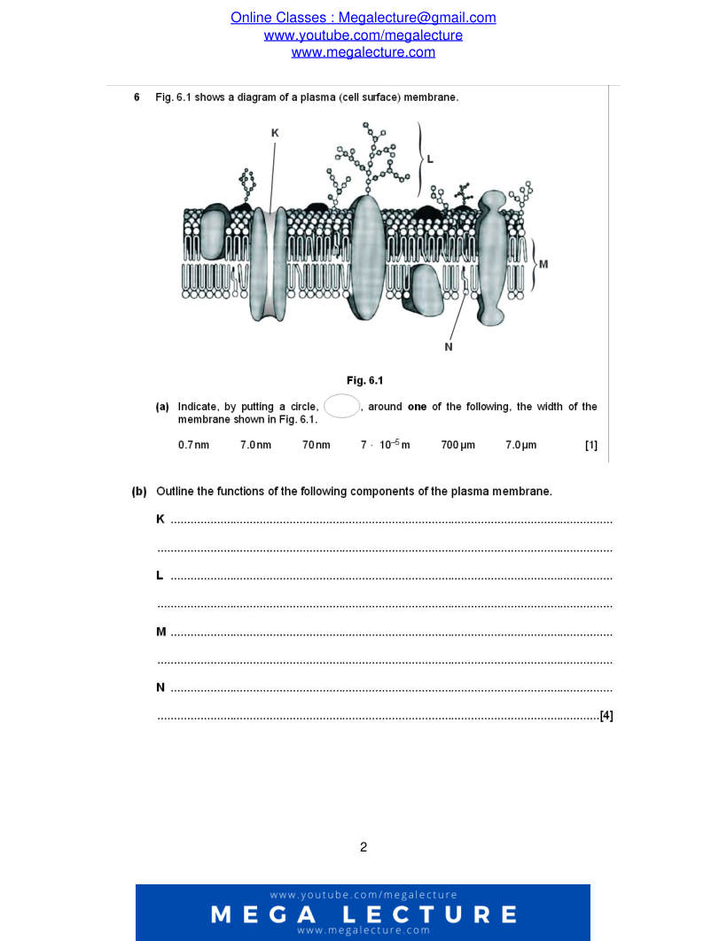 Page 2 of Questions