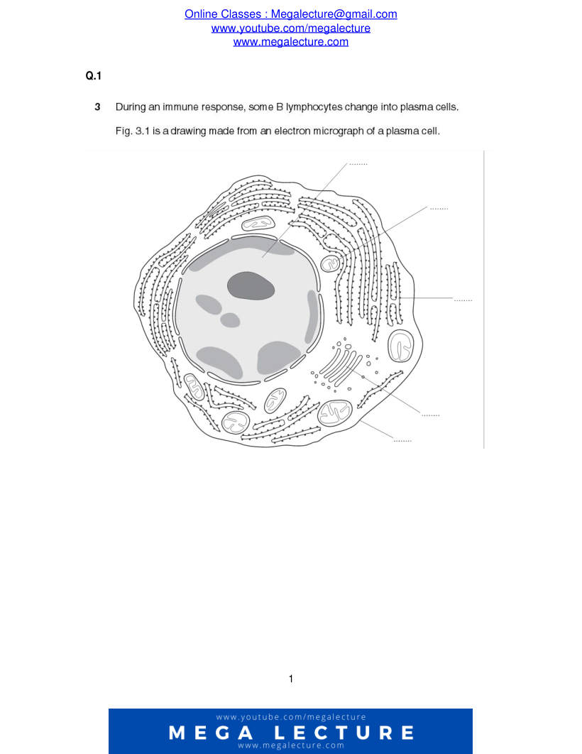 Page 1 of Questions