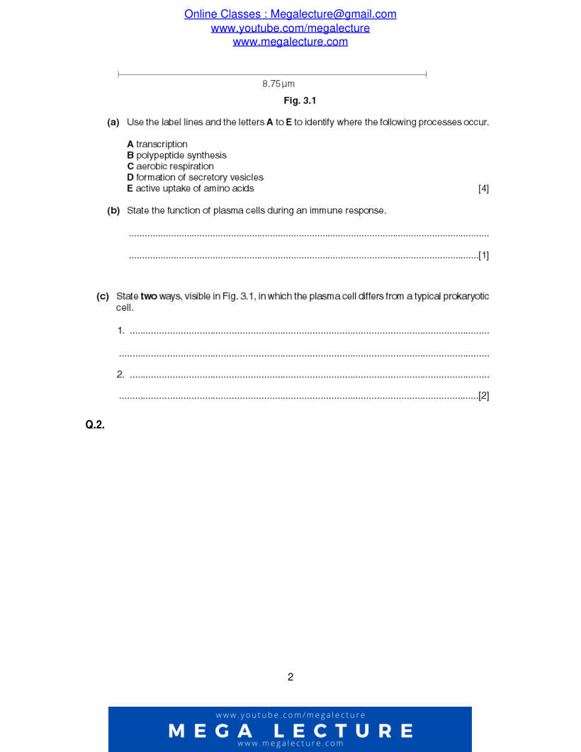 Page 2 of Questions