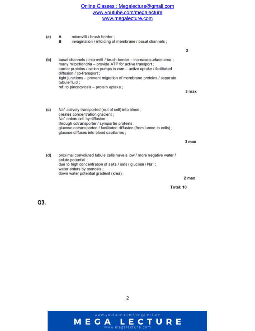Page 2 of Marking scheme