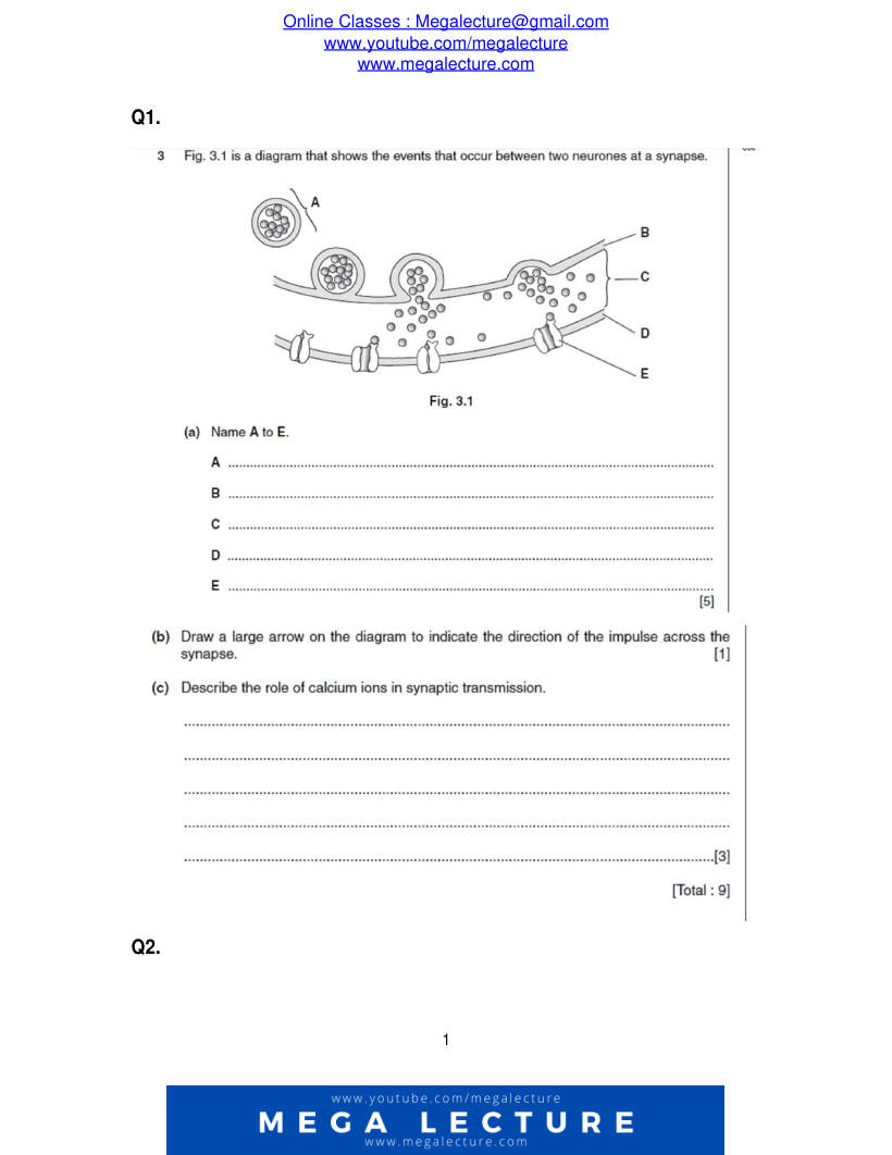 Page 1 of Questions