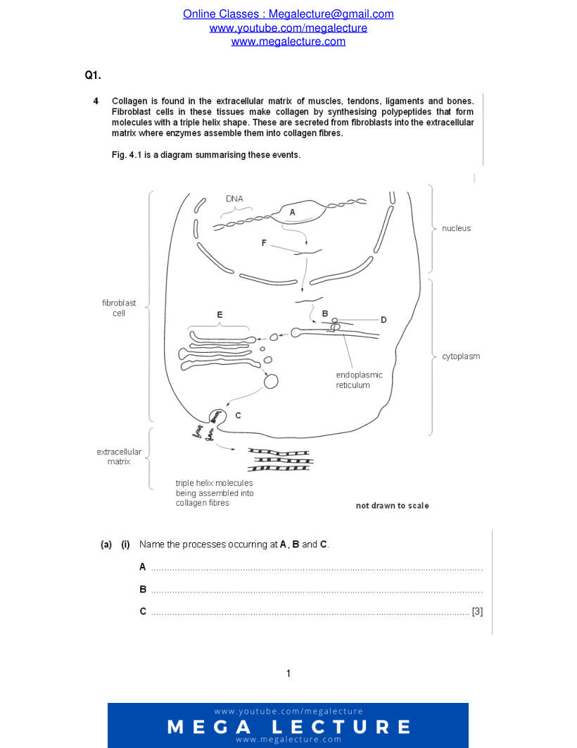 Page 1 of Questions