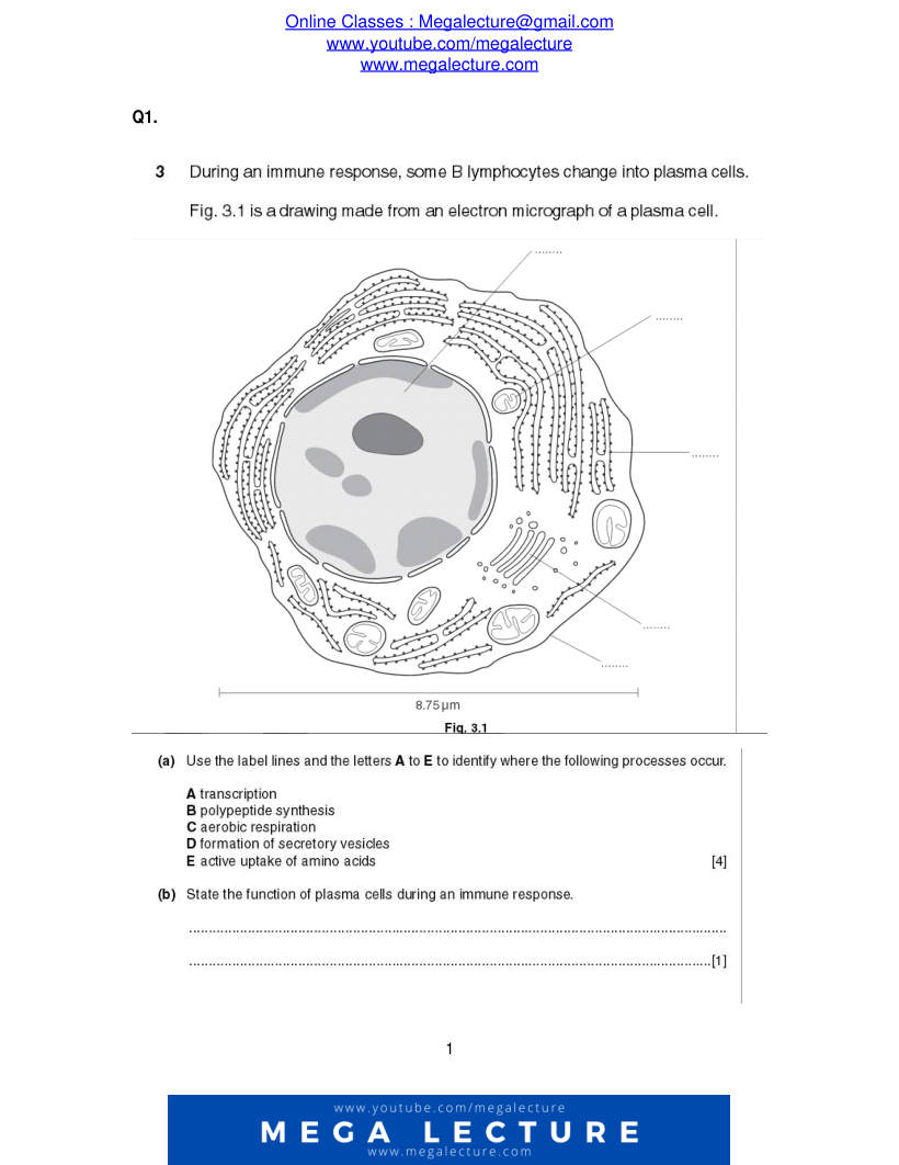 Page 1 of Questions