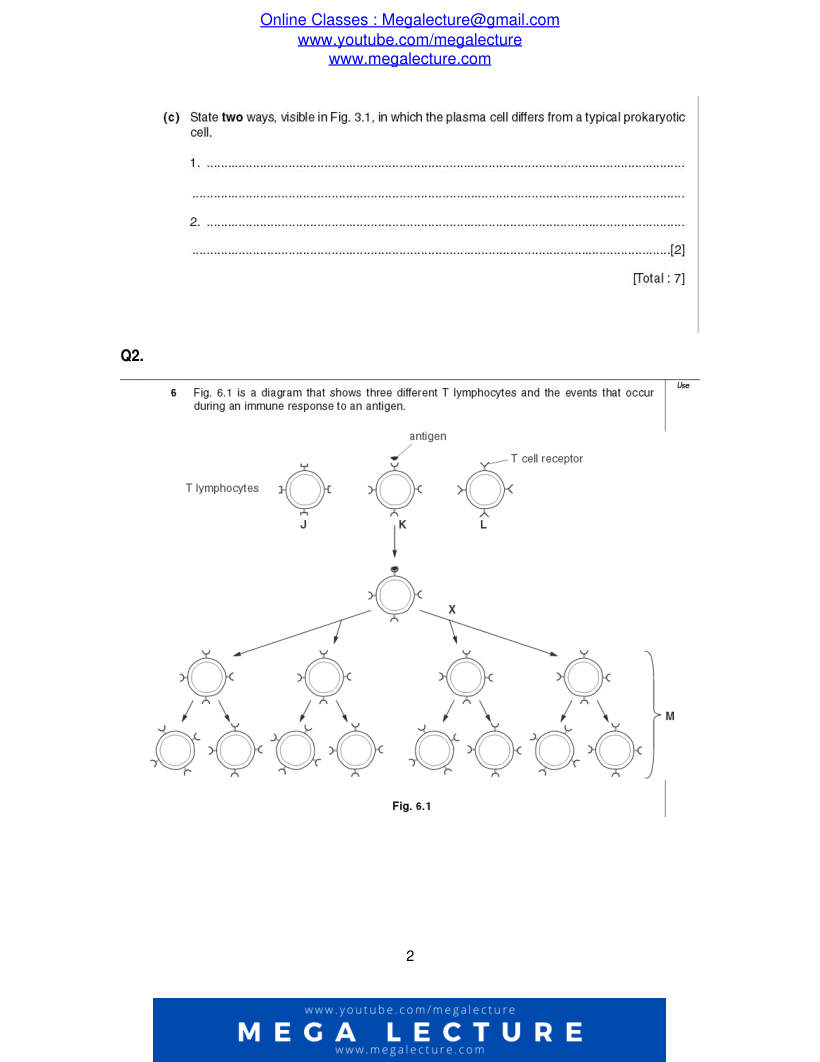Page 2 of Questions