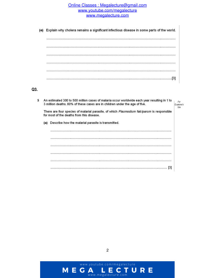 Page 2 of Worksheet