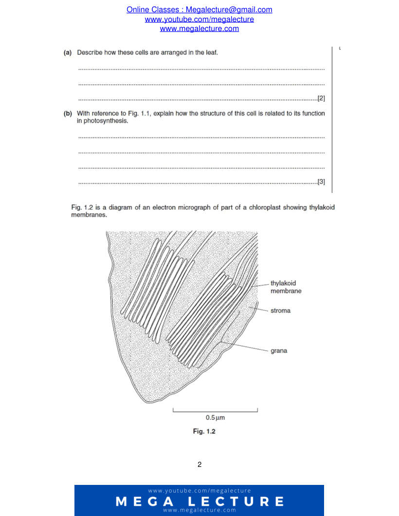 Page 2 of Questions