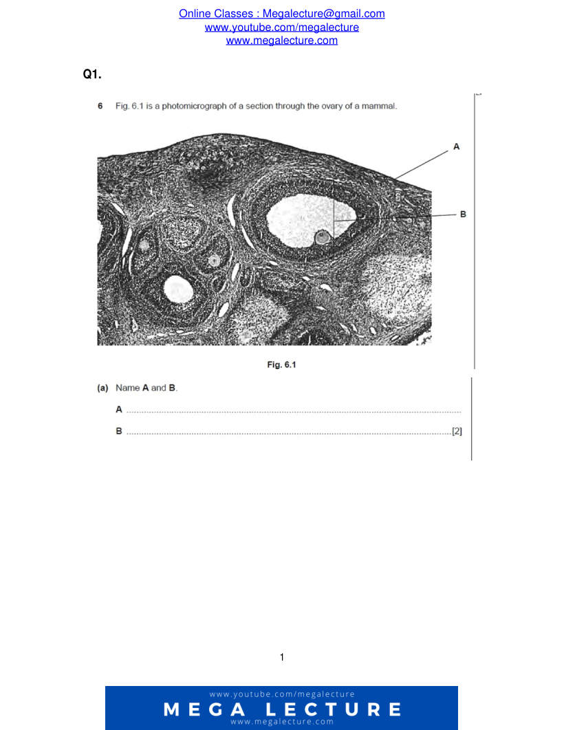 Page 1 of Questions
