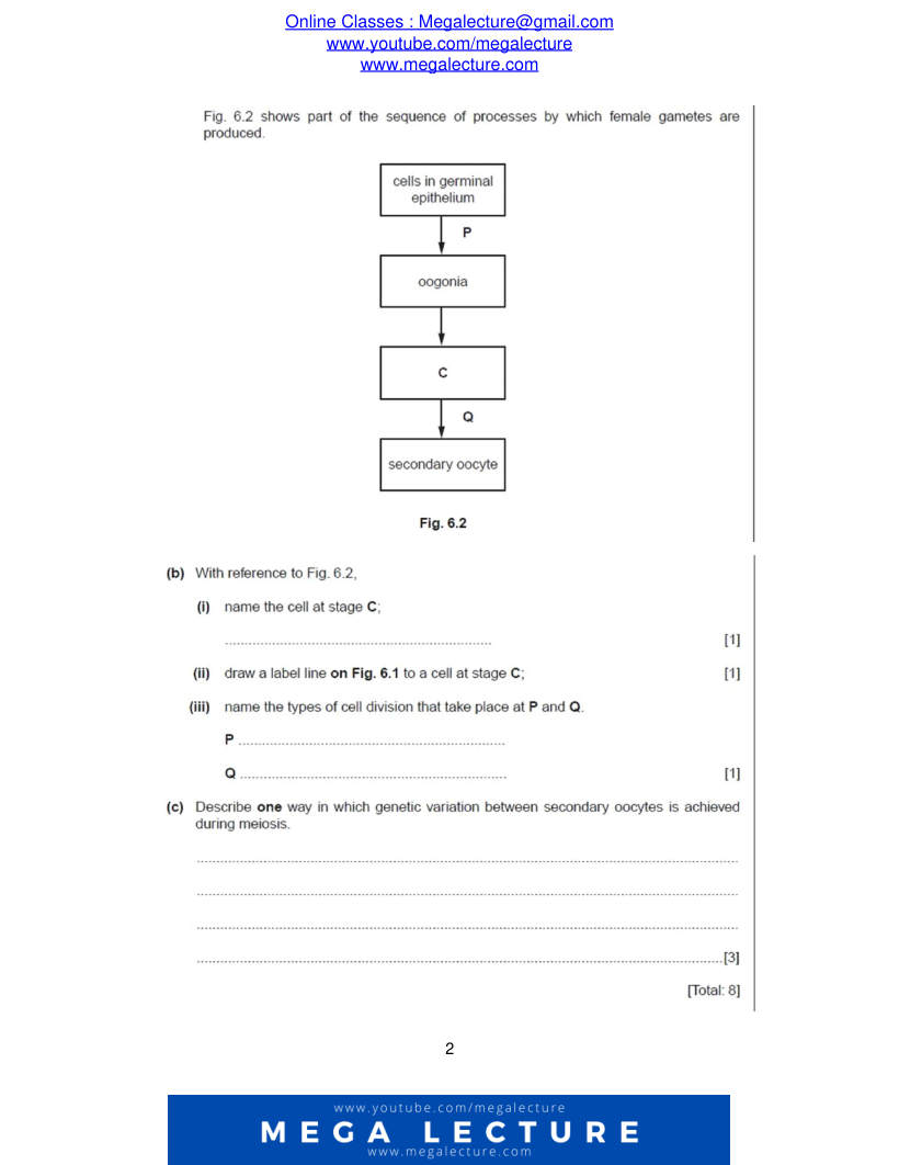 Page 2 of Questions