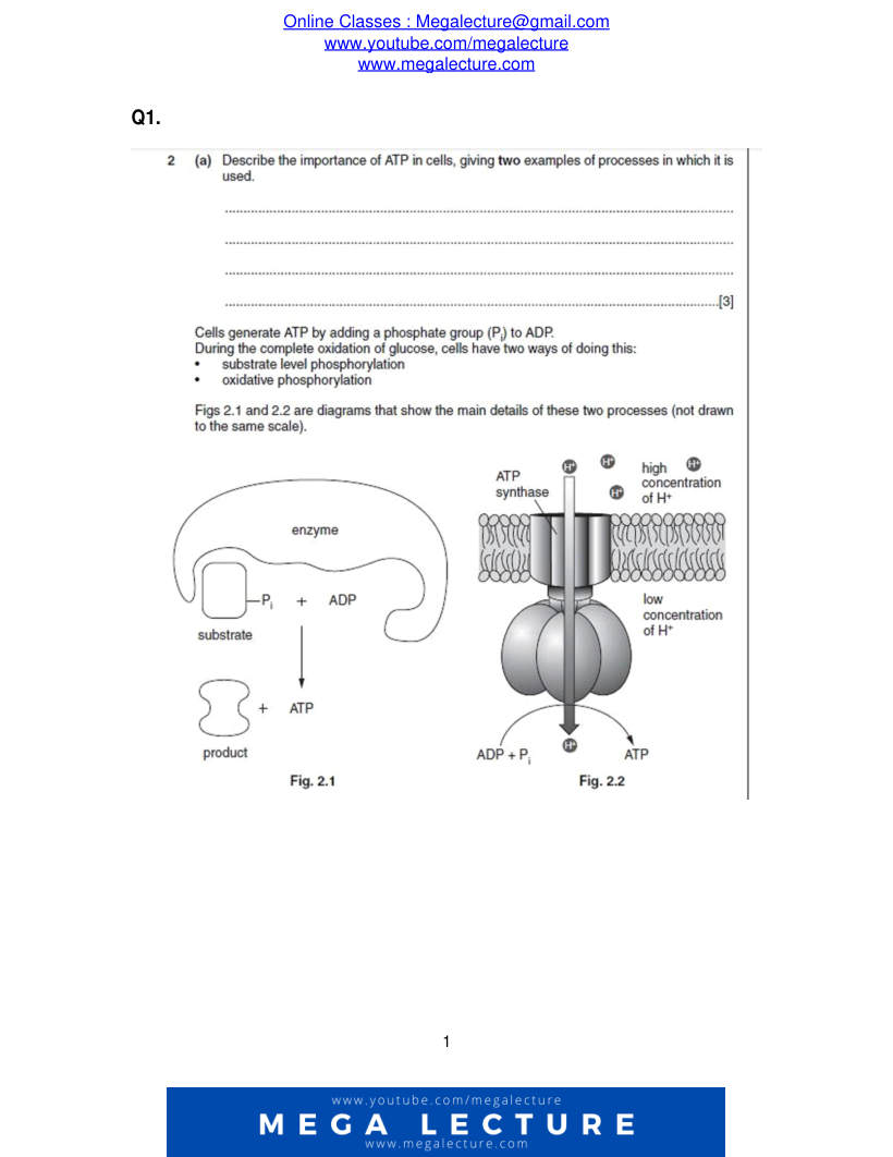 Page 1 of Questions
