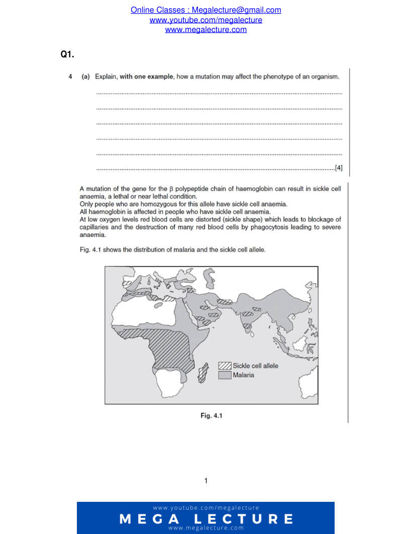 Page 1 of Questions