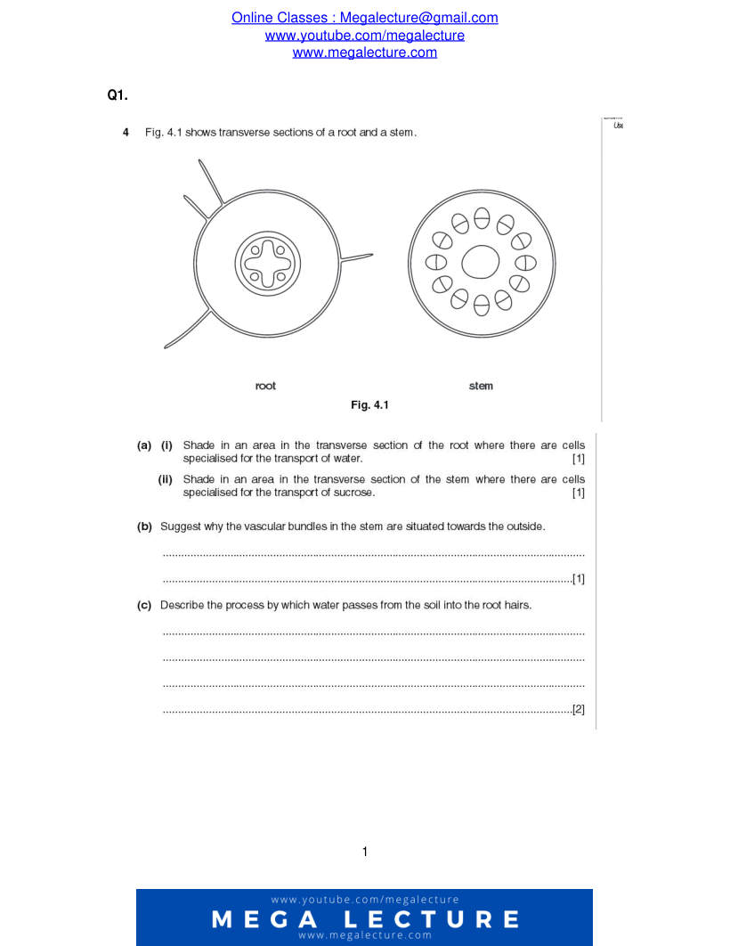 Page 1 of Questions
