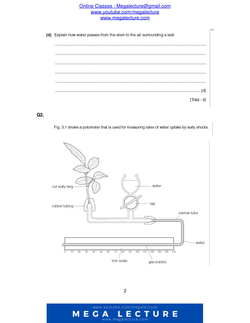 Page 2 of Questions